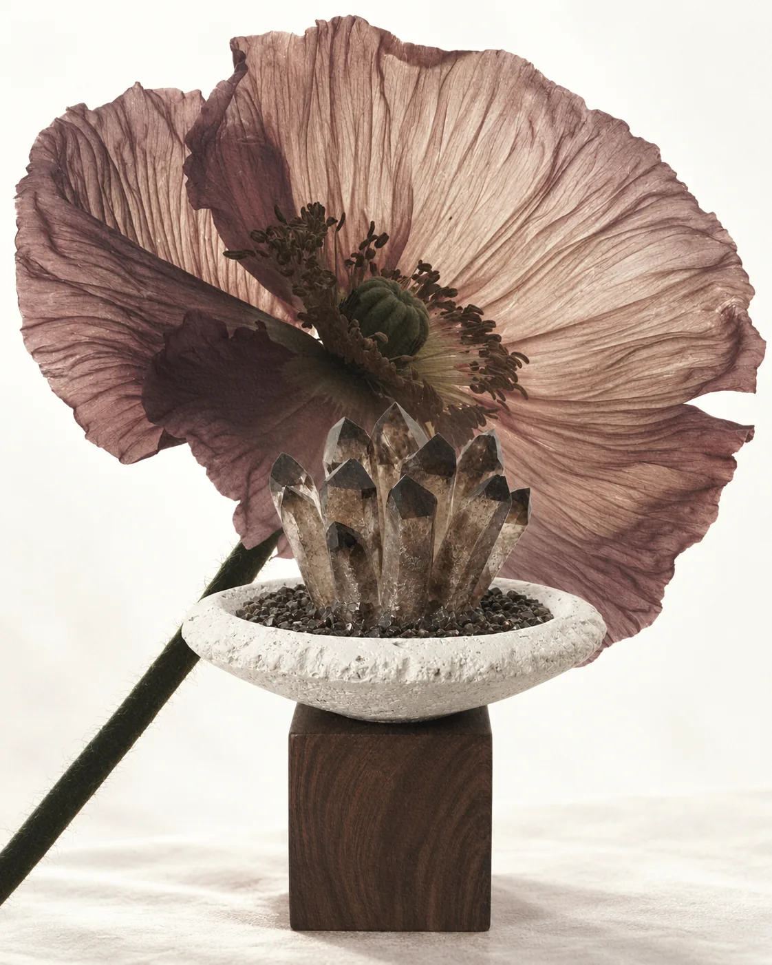 Crystal cluster in a white bowl before a mauve flower