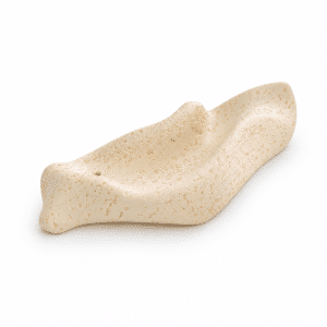 Sculptural Petal Incense Tray