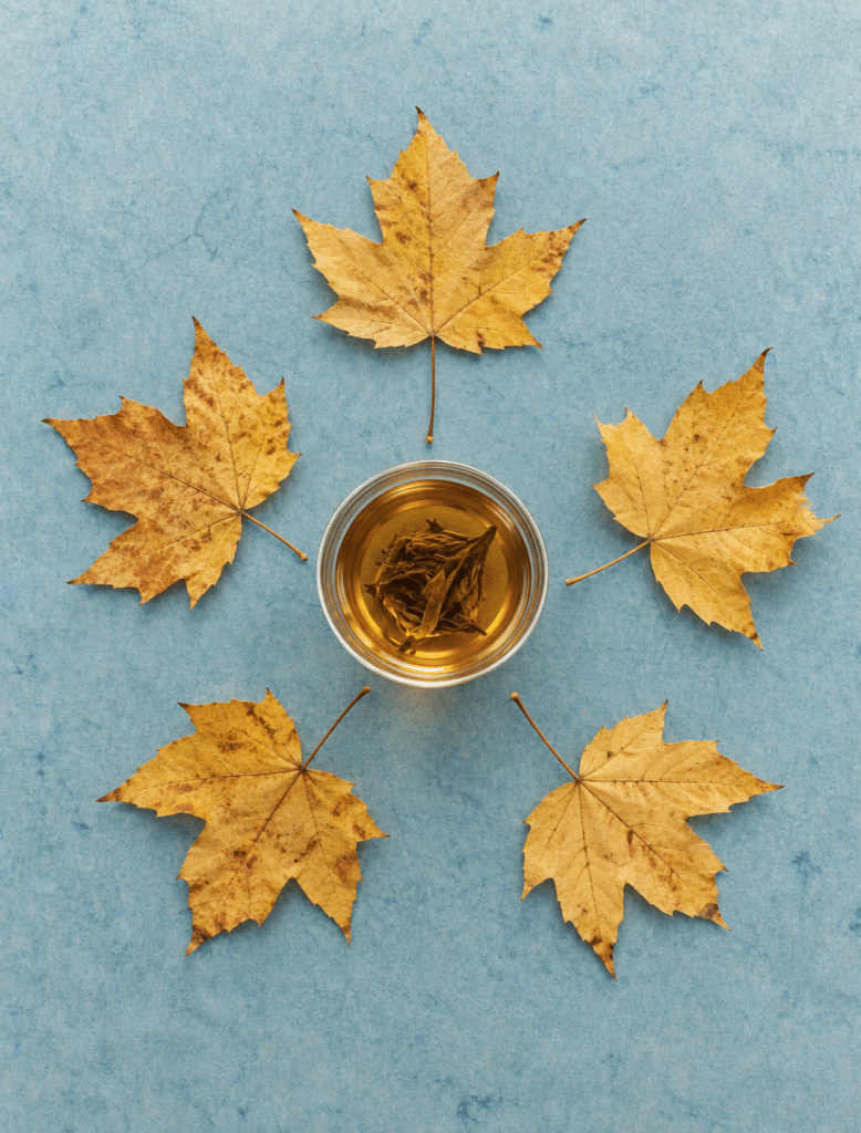 A Slower Autumn: Buy Less, Keep What Matters